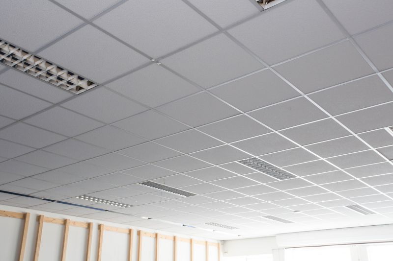 Office Ceiling Remodeling